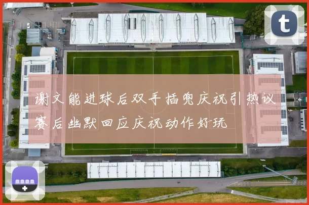 谢文能进球后双手插兜庆祝引热议赛后幽默回应庆祝动作好玩