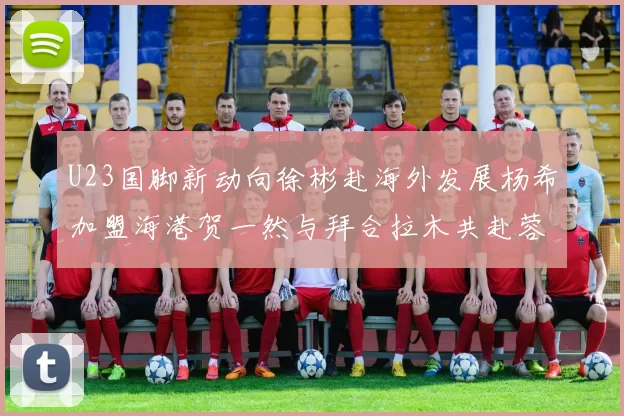 U23国脚新动向徐彬赴海外发展杨希加盟海港贺一然与拜合拉木共赴蓉城