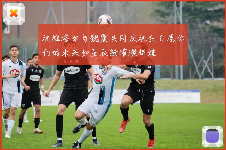 祝维塔尔与魏震共同庆祝生日愿你们的未来如星辰般璀璨辉煌
